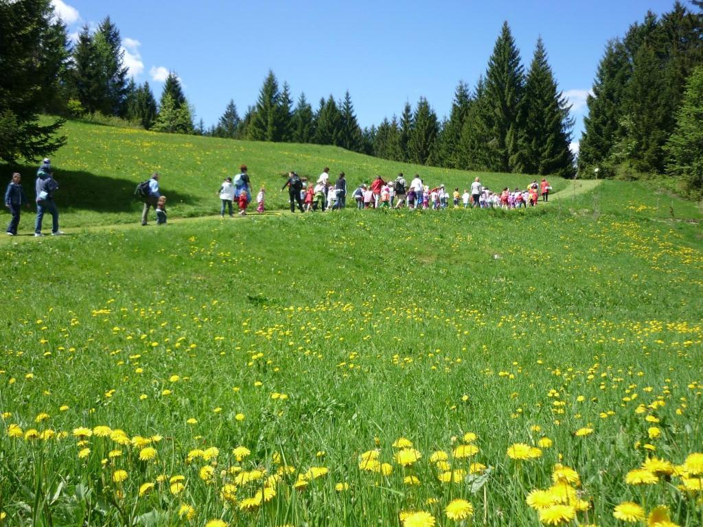 Hotel Da Barba B&B Asiago Dış mekan fotoğraf