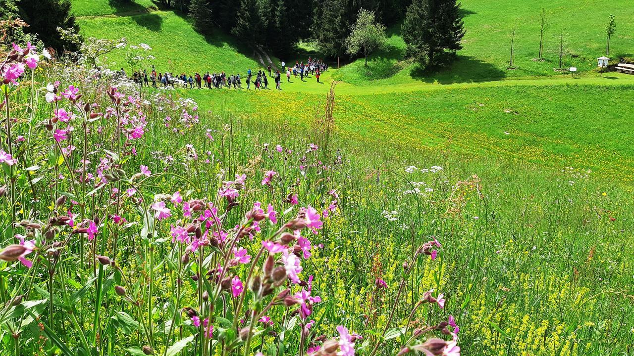 Hotel Da Barba B&B Asiago Dış mekan fotoğraf